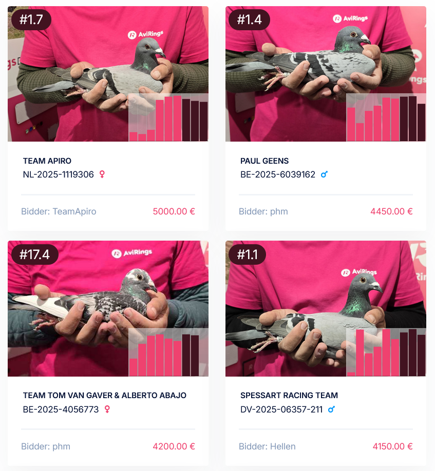 AviRings Auction Site